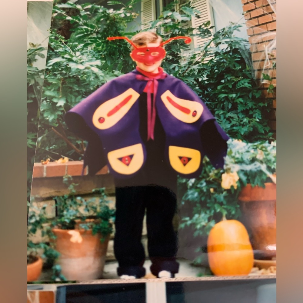 Butterfly Halloween Costume cape